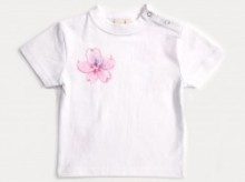袋ラッピング　内熨斗可能(無料)
